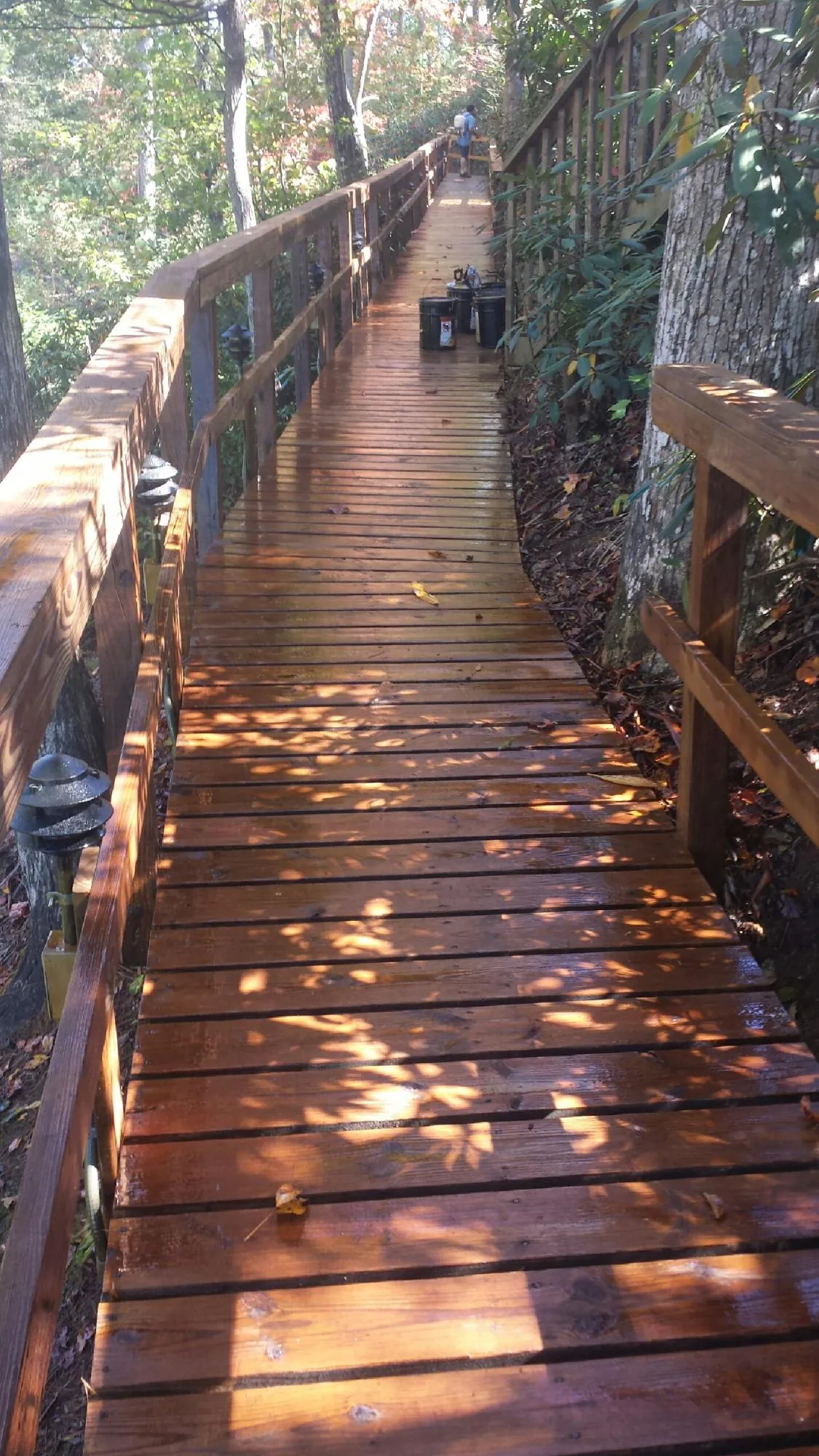 Freshly stained wood walkway winding through the woods in Fate